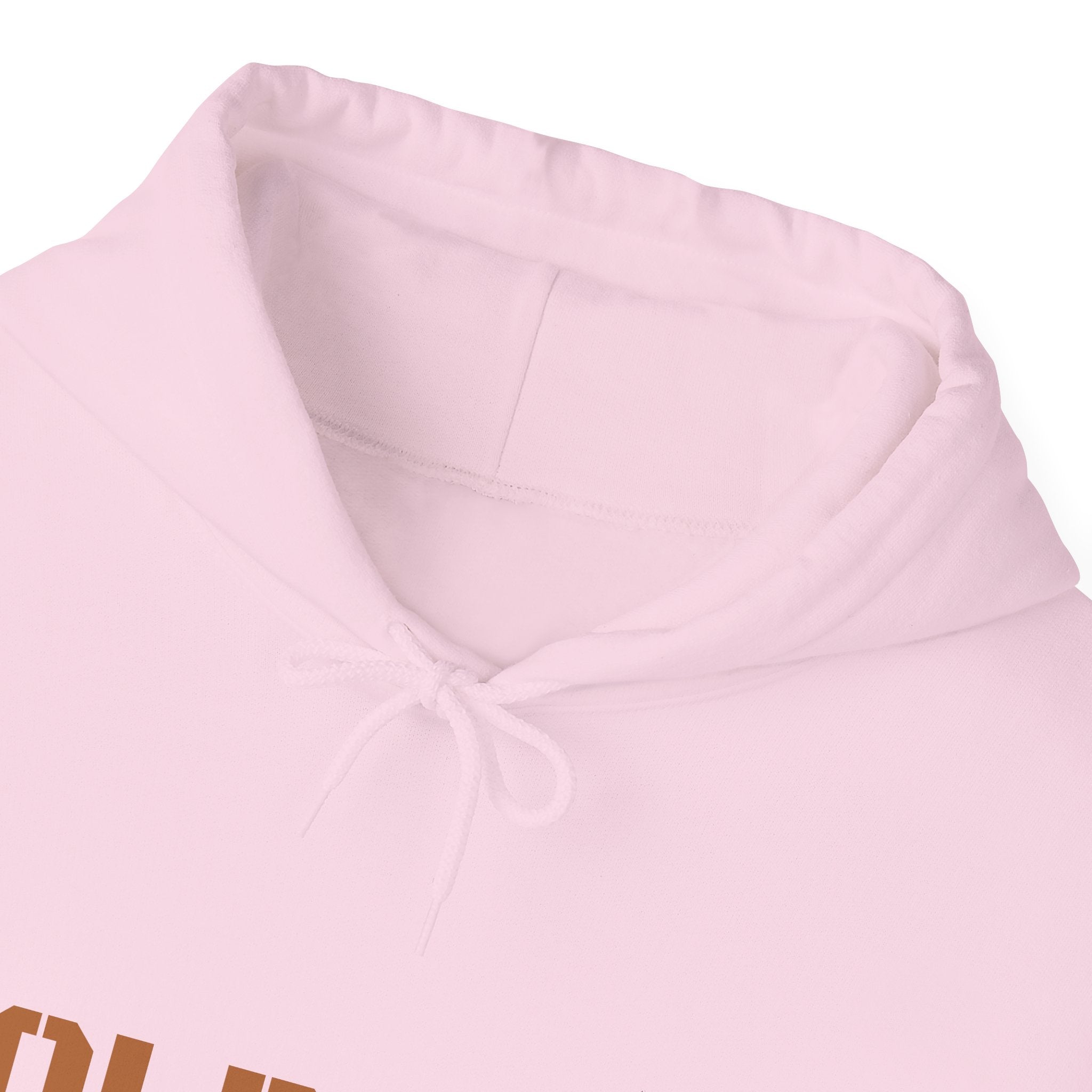Lion Roar Hoodie — Courage & Confidence Graphic Sweatshirt