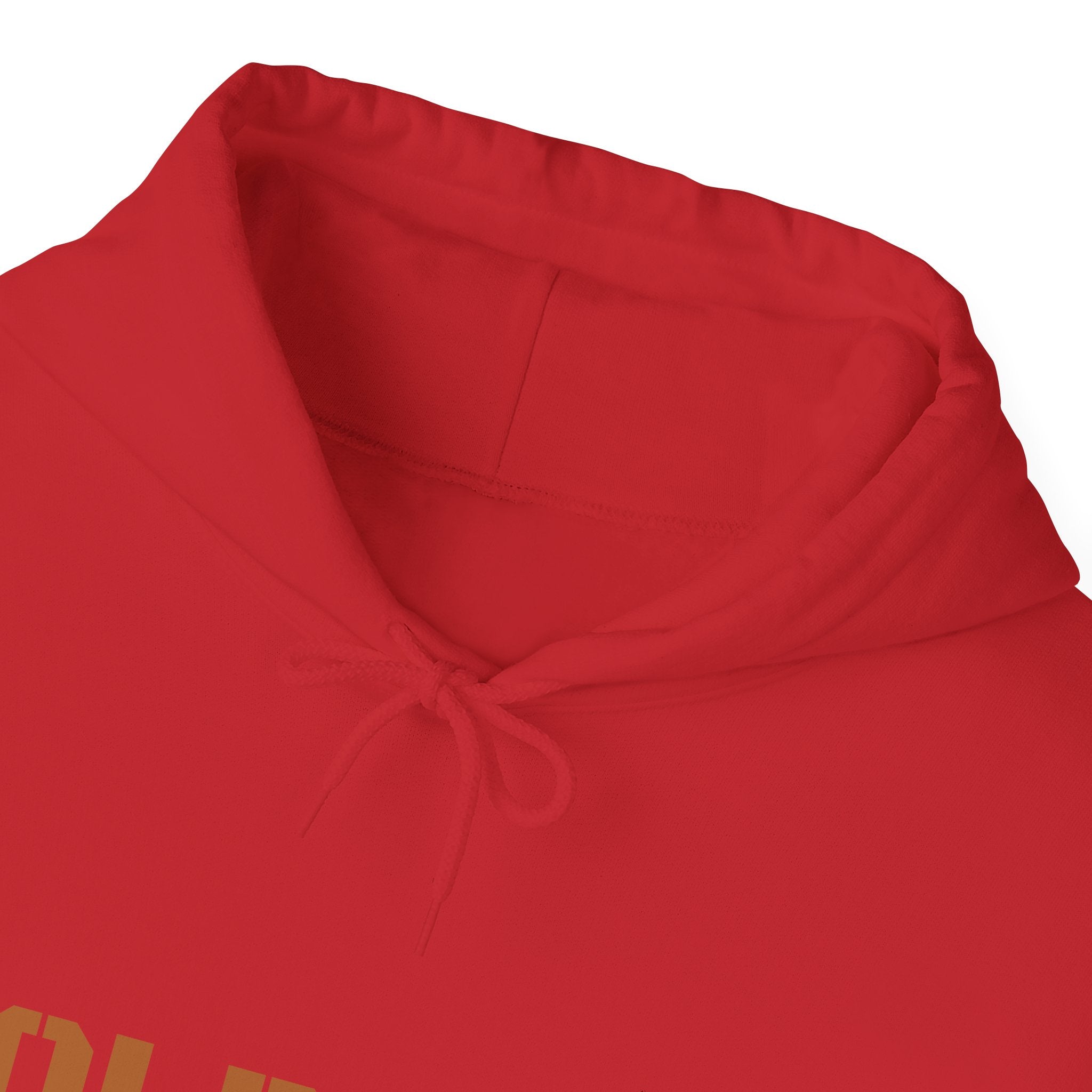 Lion Roar Hoodie — Courage & Confidence Graphic Sweatshirt