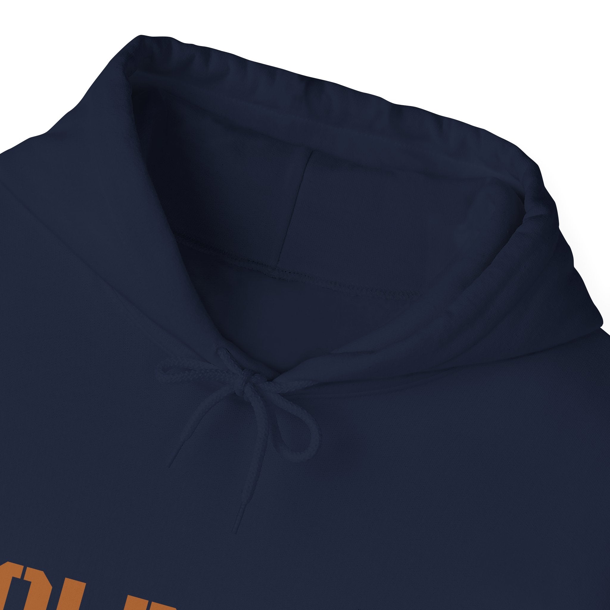 Lion Roar Hoodie — Courage & Confidence Graphic Sweatshirt