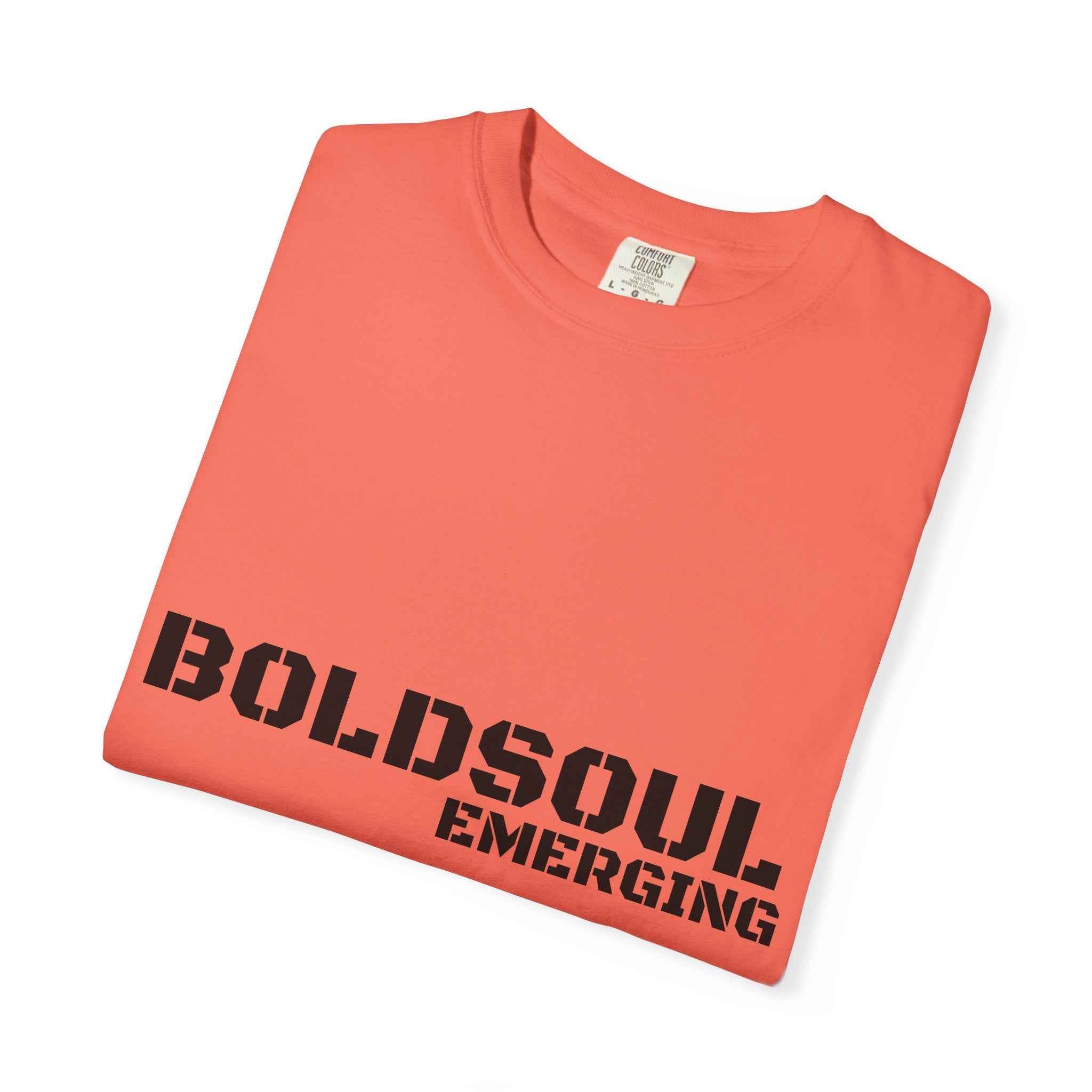 BOLDSOUL Garment-Dyed T-Shirt — Heavyweight Unisex Graphic Tee