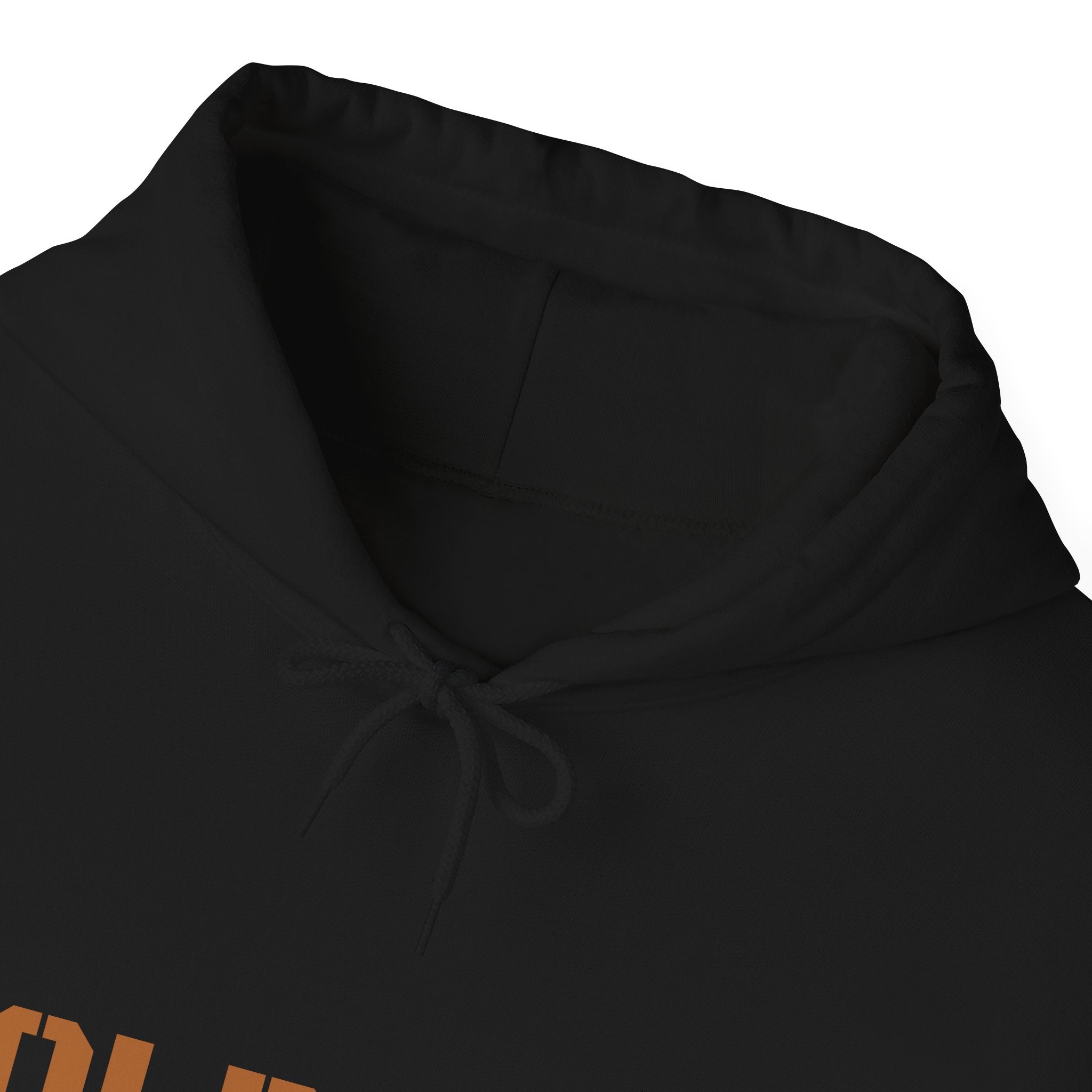 Lion Roar Hoodie — Courage & Confidence Graphic Sweatshirt