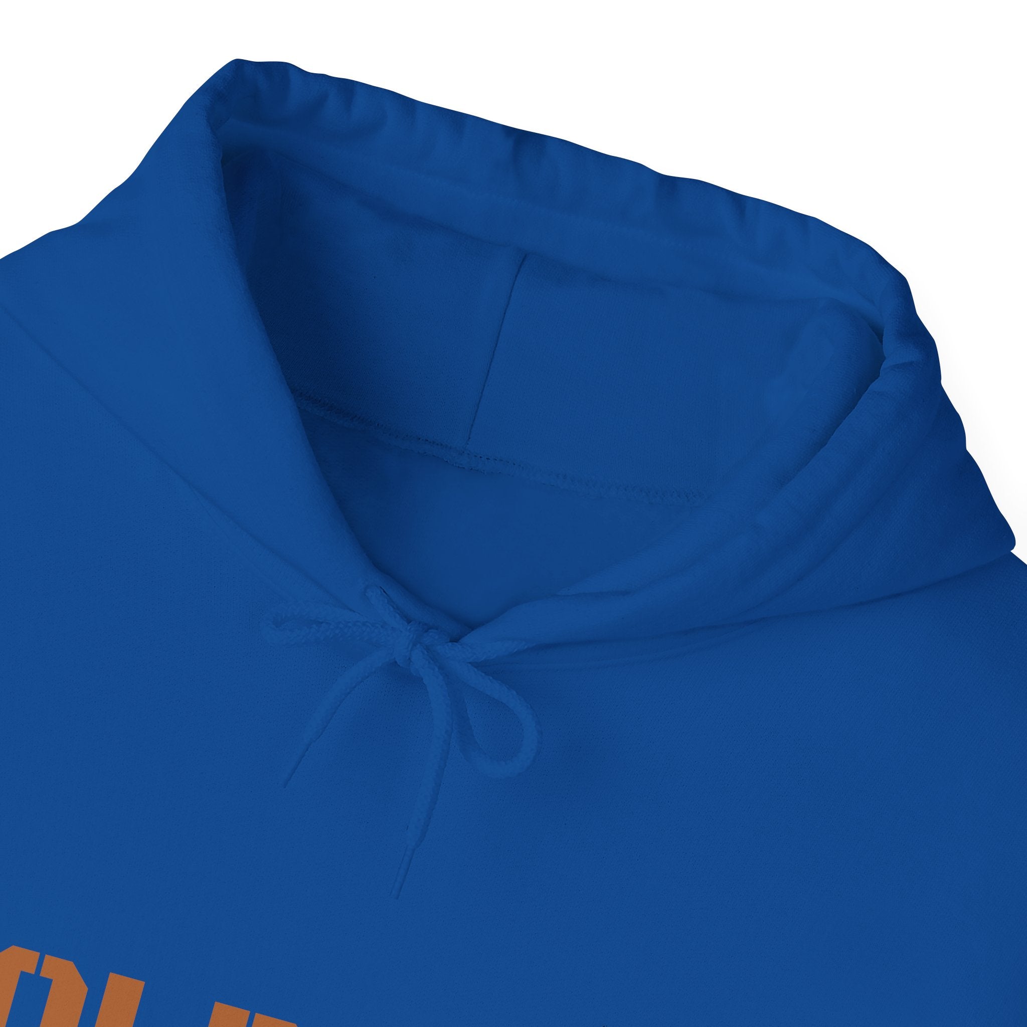 Lion Roar Hoodie — Courage & Confidence Graphic Sweatshirt