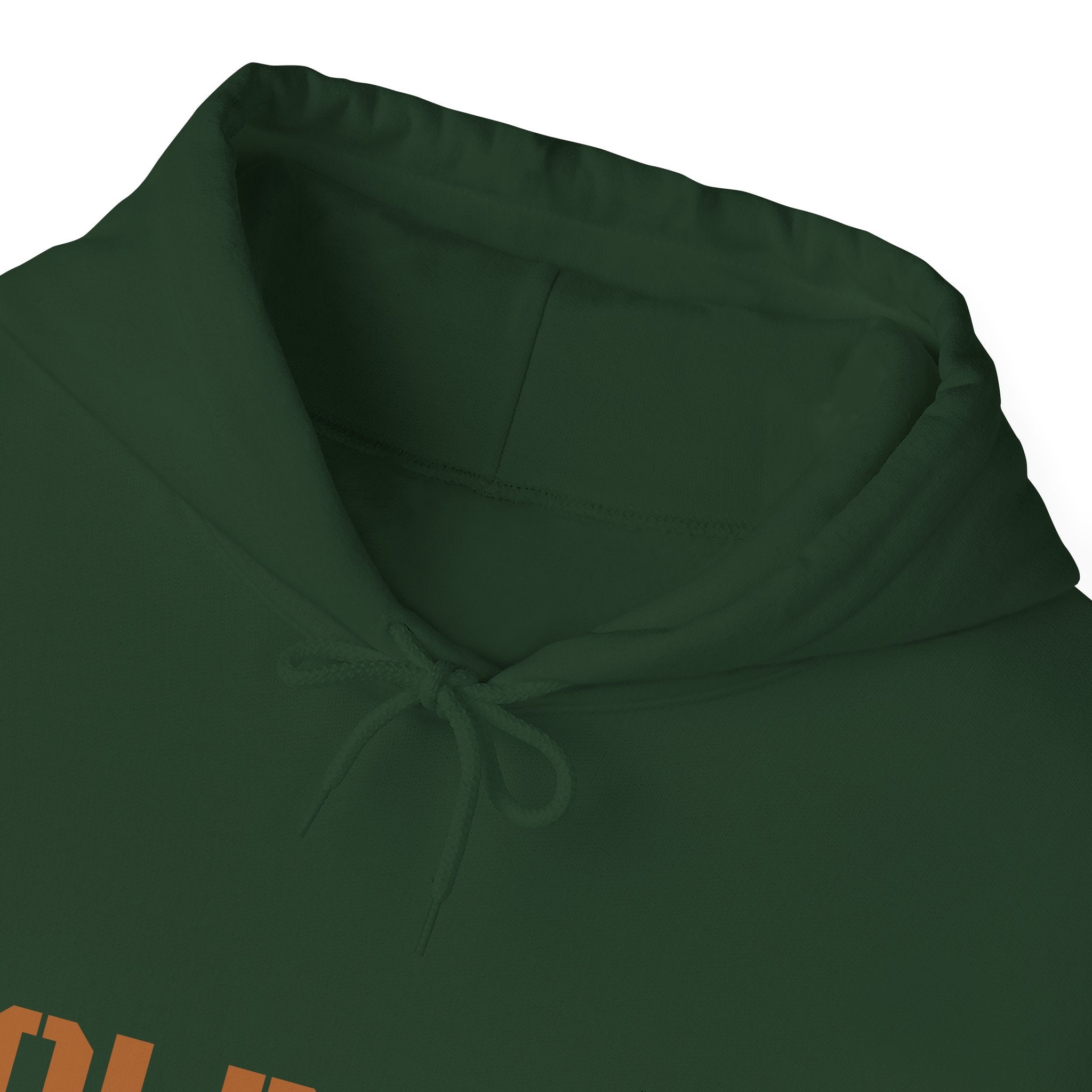 Lion Roar Hoodie — Courage & Confidence Graphic Sweatshirt
