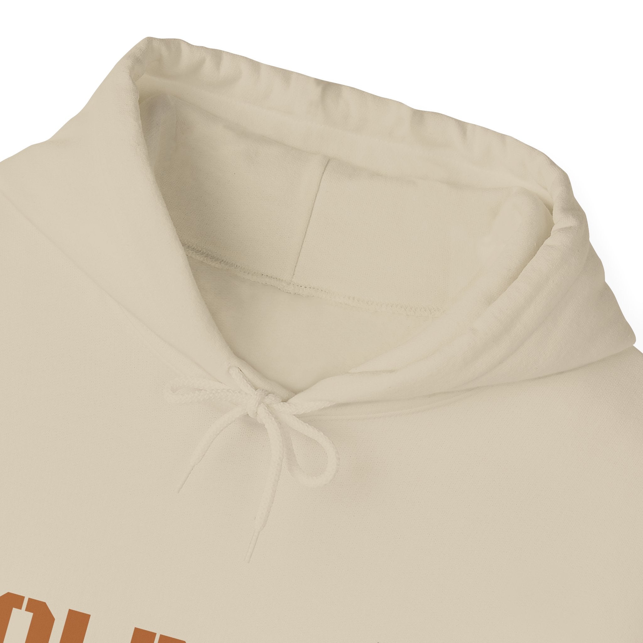 Lion Roar Hoodie — Courage & Confidence Graphic Sweatshirt
