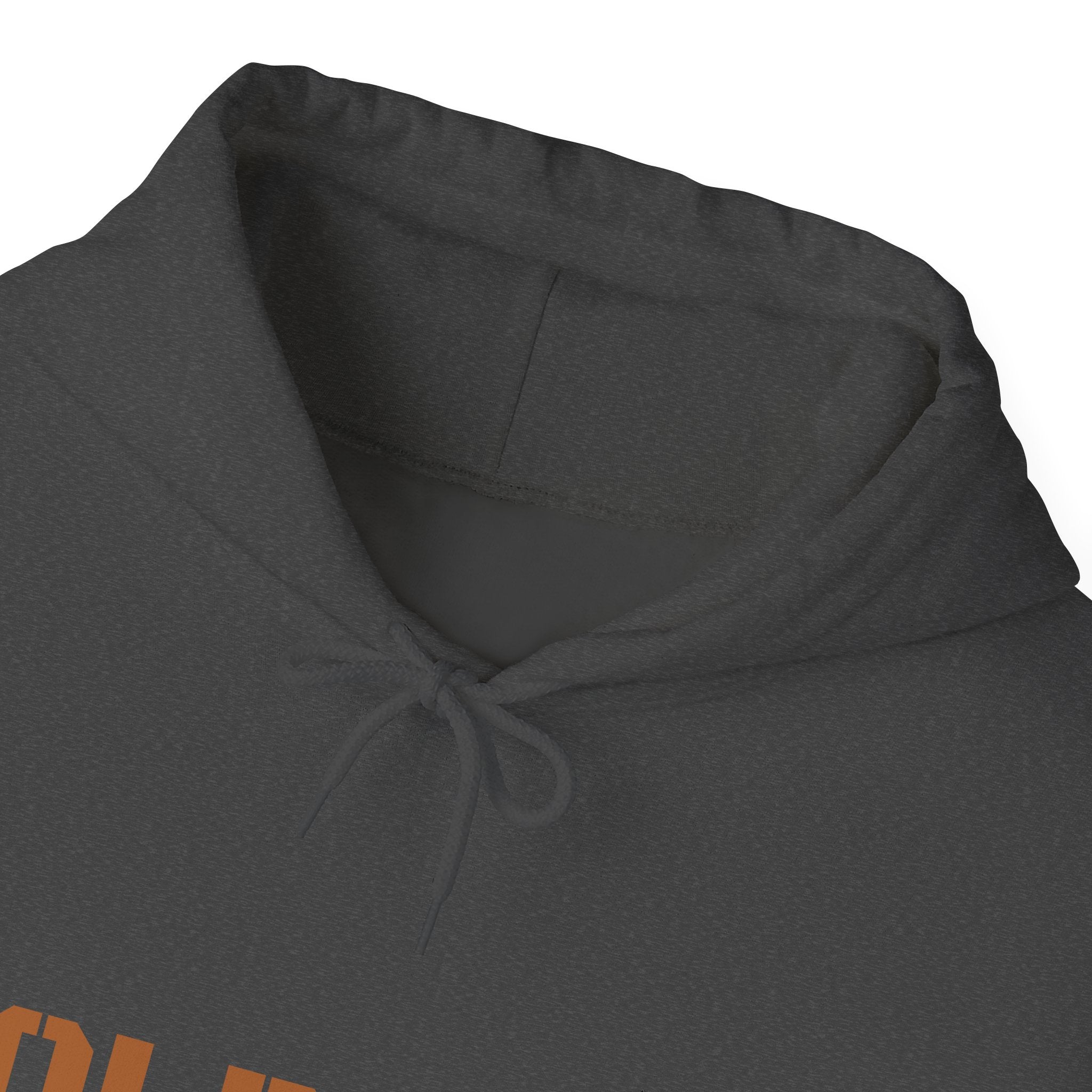 Lion Roar Hoodie — Courage & Confidence Graphic Sweatshirt