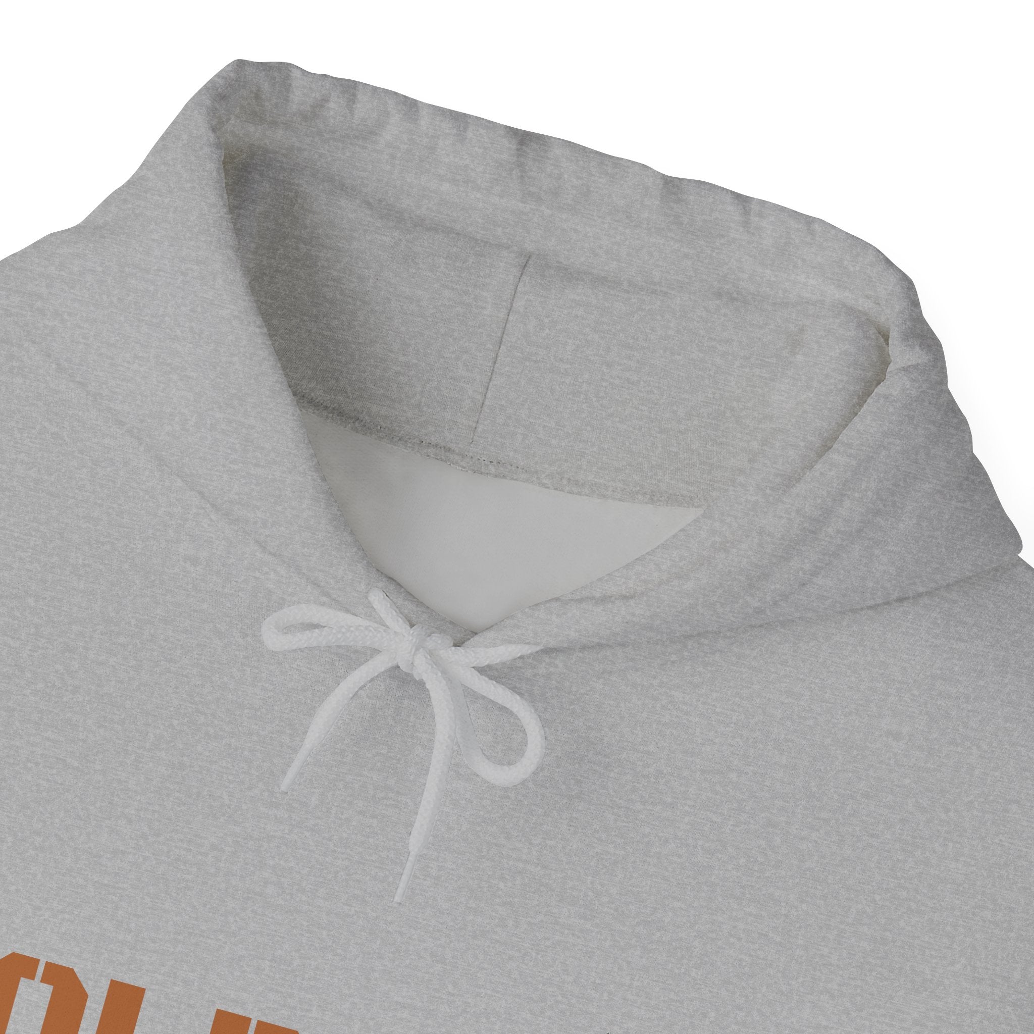 Lion Roar Hoodie — Courage & Confidence Graphic Sweatshirt
