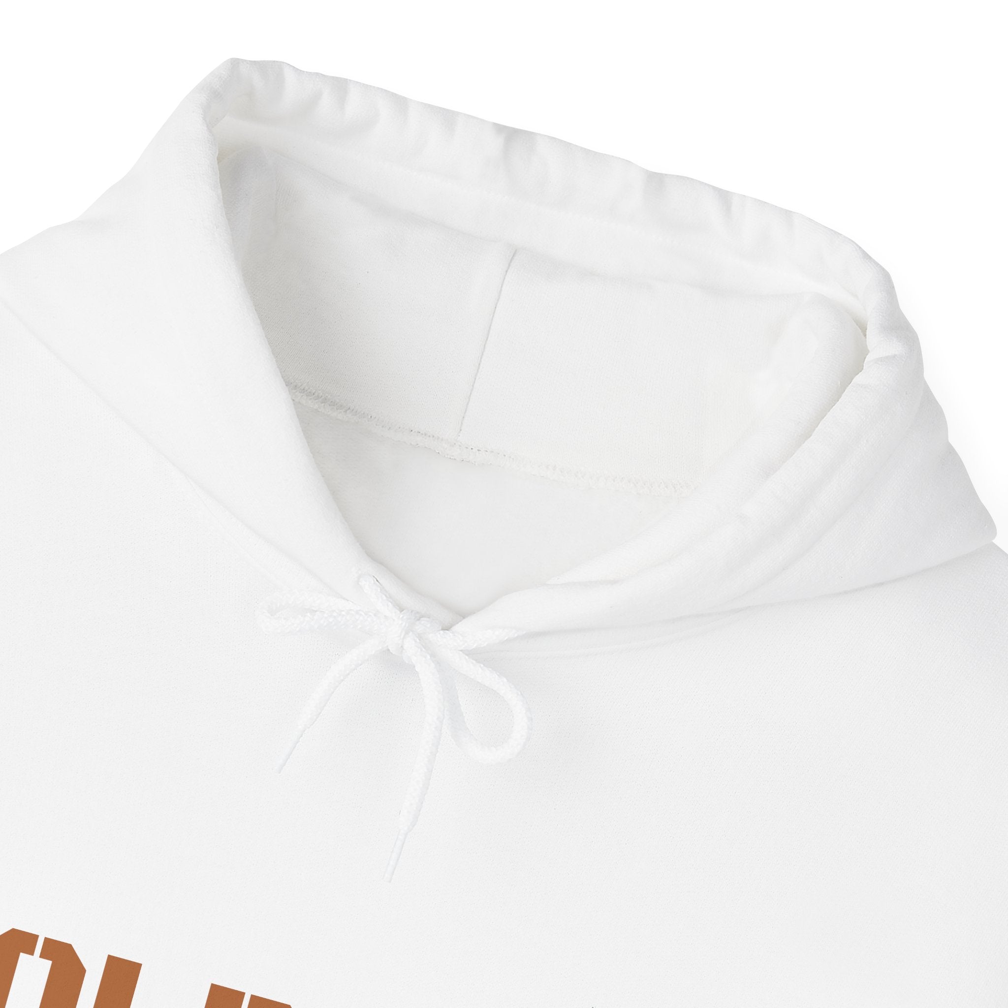Lion Roar Hoodie — Courage & Confidence Graphic Sweatshirt