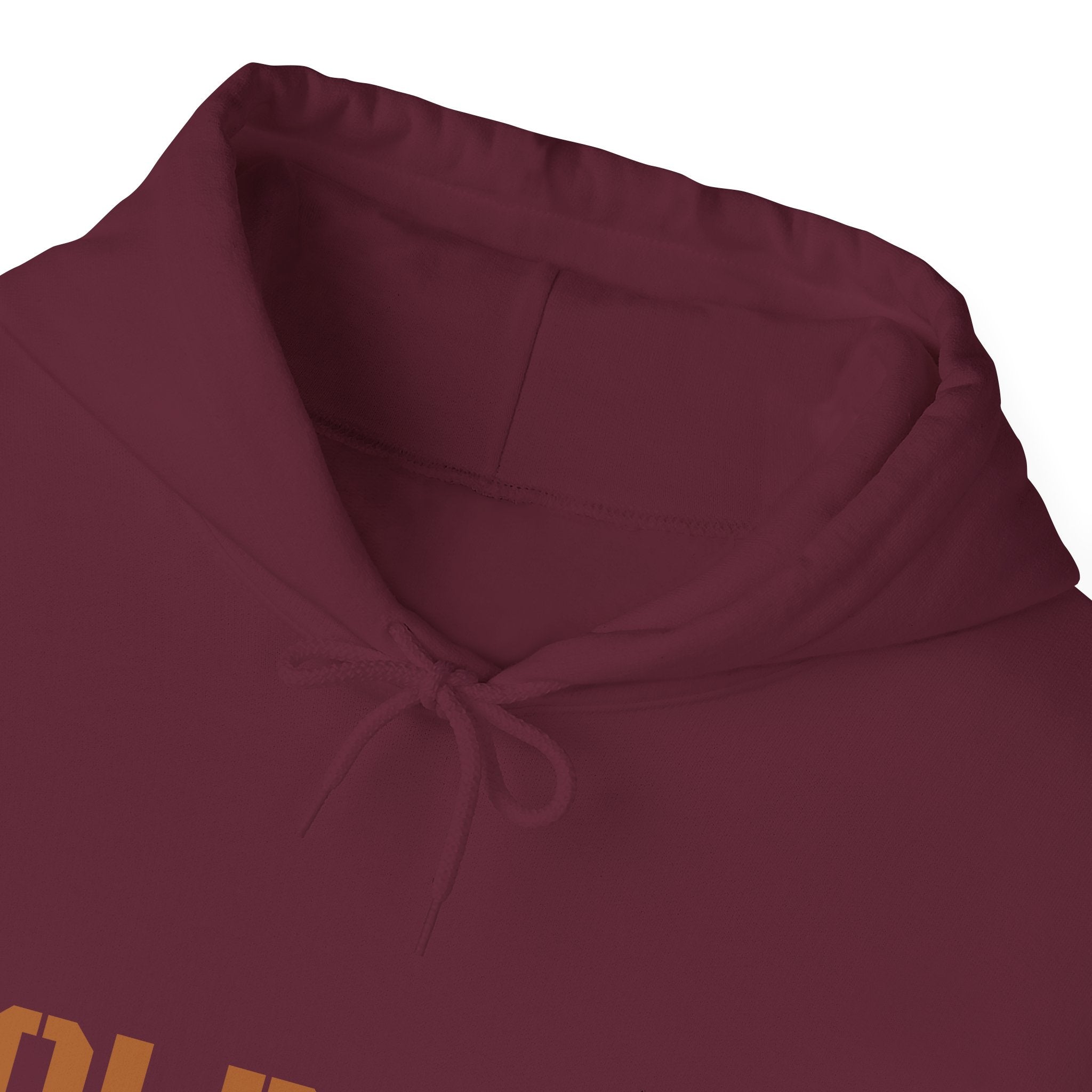 Lion Roar Hoodie — Courage & Confidence Graphic Sweatshirt