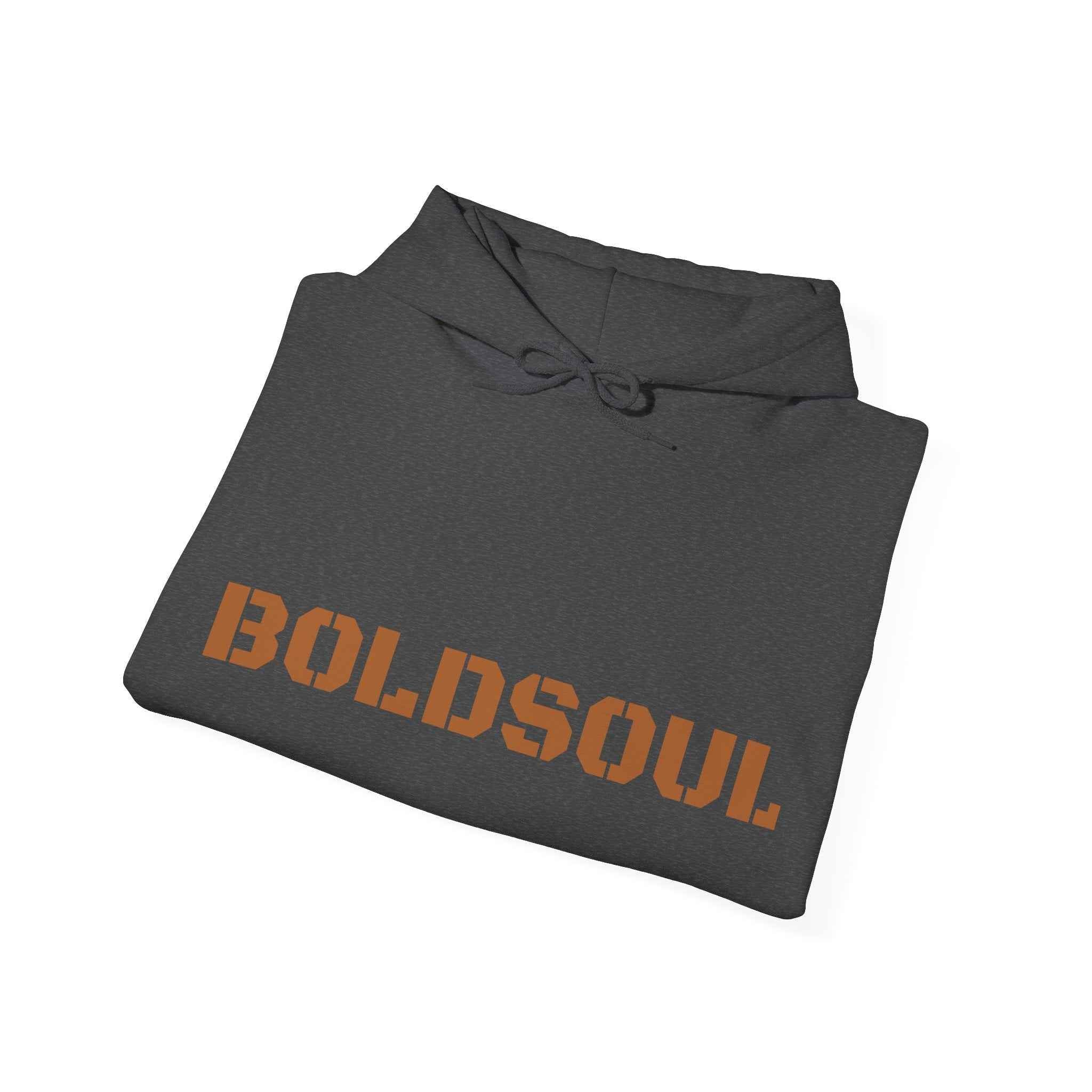 Lion Roar Hoodie — Boldsoul Graphic Pullover