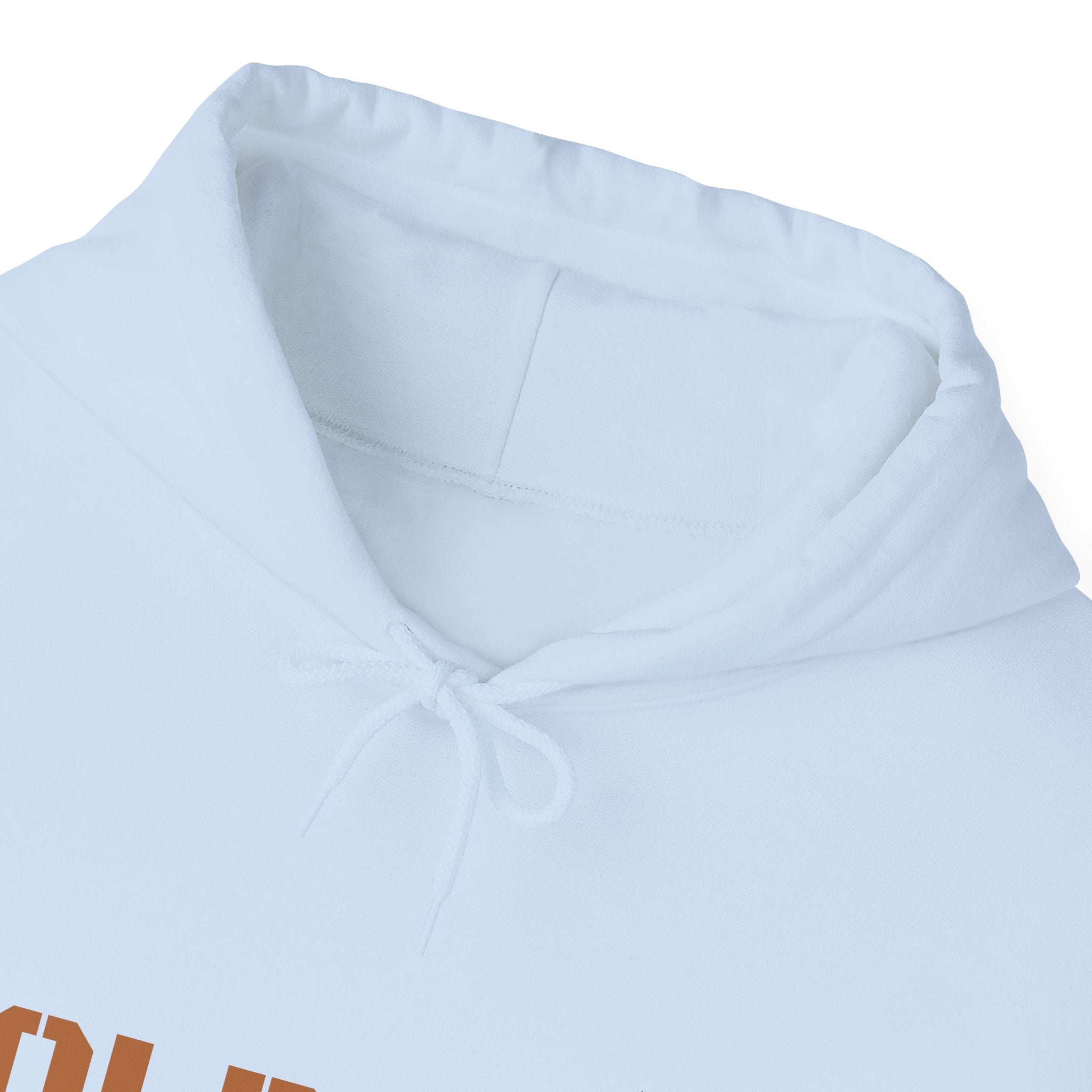 Lion Roar Hoodie — Courage & Confidence Graphic Sweatshirt